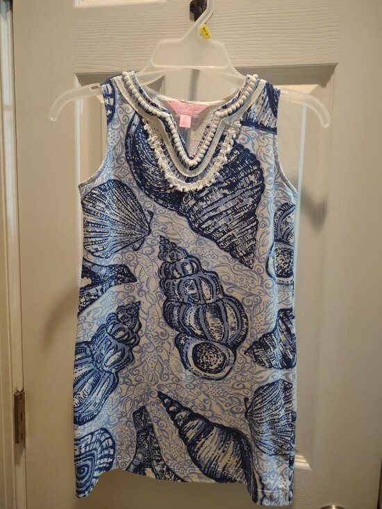 Lilly Pulitzer Other - Lilly Pulitzer Dress